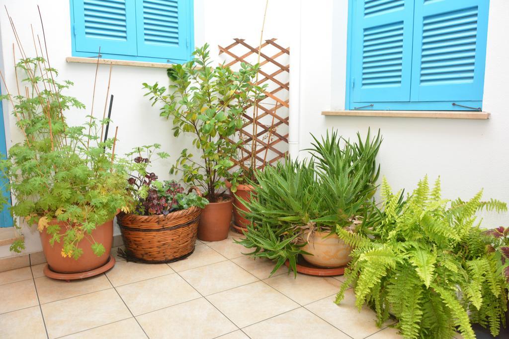 Cypriot Swallow Boutique Hotel Никосия Экстерьер фото